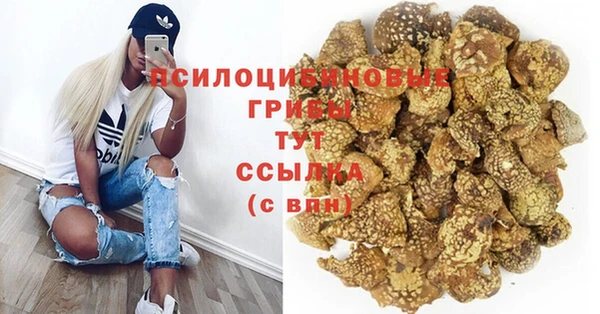 PSILOCYBIN Абинск