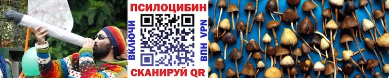где найти наркотики  Абдулино  Галлюциногенные грибы мухоморы 